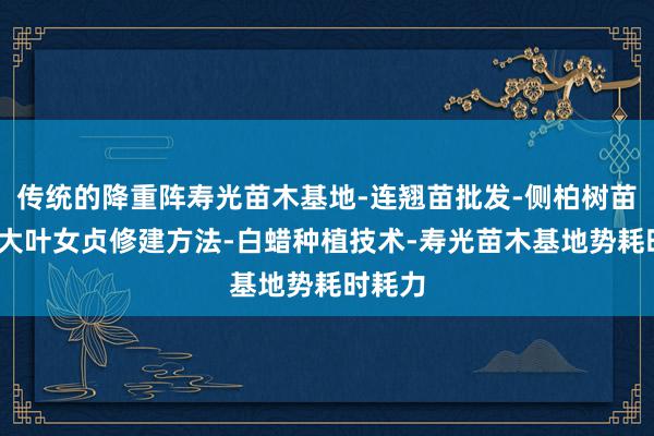 传统的降重阵寿光苗木基地-连翘苗批发-侧柏树苗价格-大叶女贞修建方法-白蜡种植技术-寿光苗木基地势耗时耗力