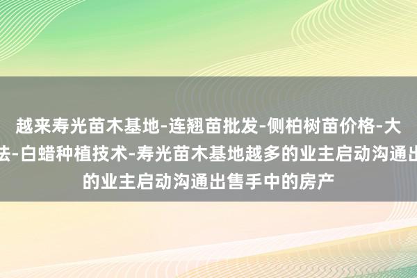 越来寿光苗木基地-连翘苗批发-侧柏树苗价格-大叶女贞修建方法-白蜡种植技术-寿光苗木基地越多的业主启动沟通出售手中的房产