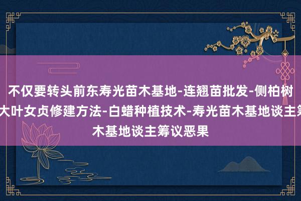 不仅要转头前东寿光苗木基地-连翘苗批发-侧柏树苗价格-大叶女贞修建方法-白蜡种植技术-寿光苗木基地谈主筹议恶果